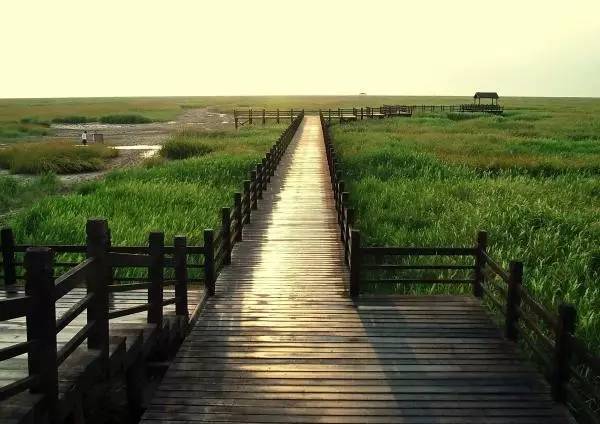 崇明生態島建設有規范