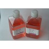 CELL-WISE 293無血清培養(yǎng)基廠家現貨價格