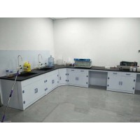 PP實(shí)驗(yàn)臺(tái)酸堿工作臺(tái)試劑柜藥品柜器皿柜現(xiàn)貨